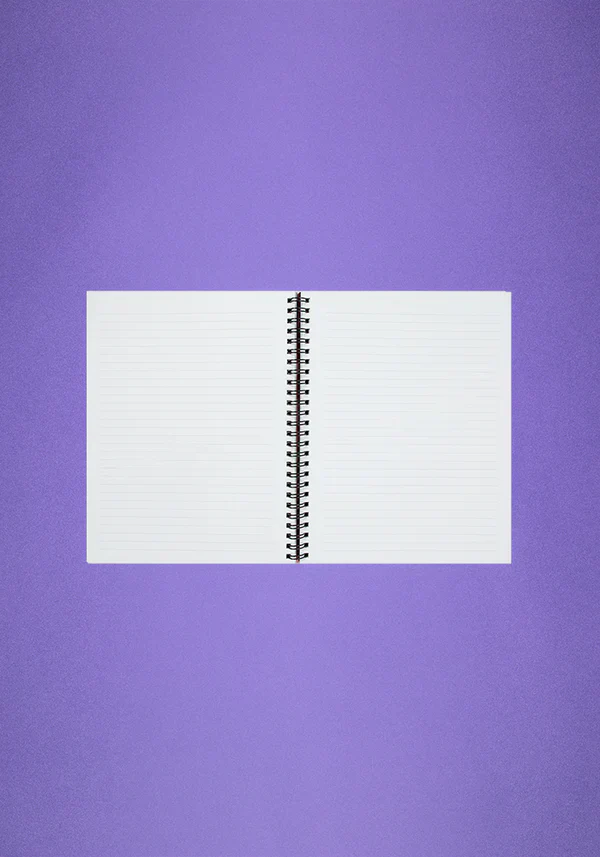 (no) bad idea(s) right? notebook